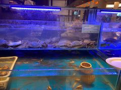 水产区-扬州万怡酒店-中餐厅(文昌中路店)