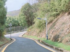 -苏州上方山国家森林公园