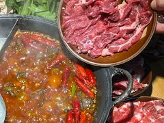 -阳阳老火锅(小南门店)