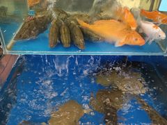 -鑫悦楼煎蟹·16年海鲜大排档