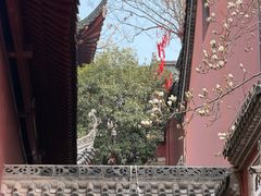 -长春观