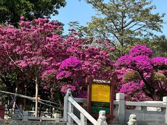 -广州莲花山旅游区