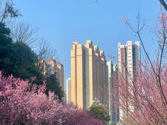 -阿哈湖国家湿地公园