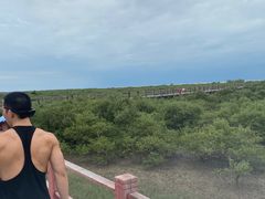 -北海金海湾红树林生态旅游区