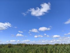 -御道口草原森林风景区