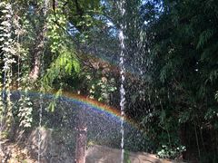-丽泽山庄·生态怀柔菜·虹鳟鱼(红螺寺店)
