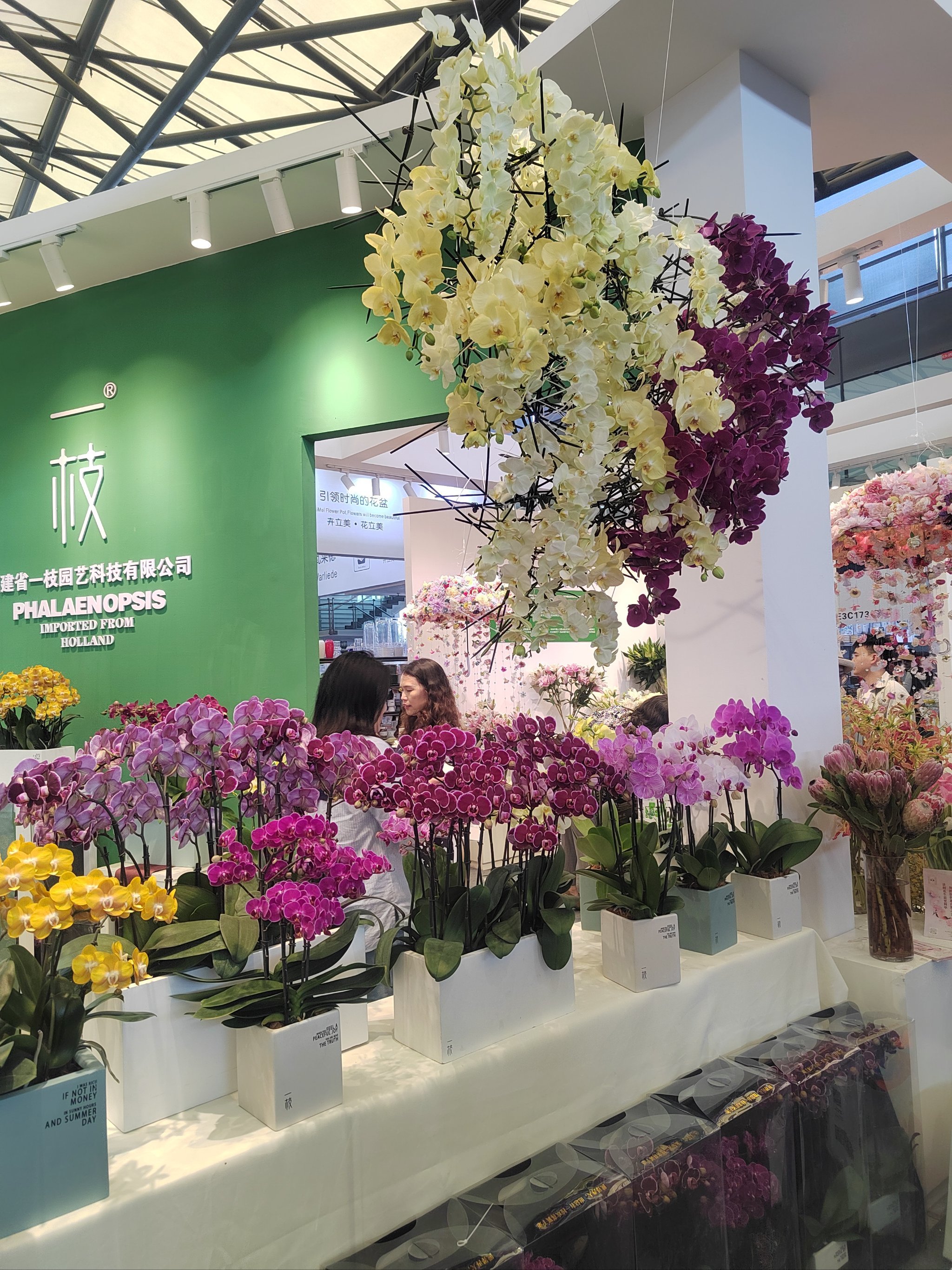 免费参观——新国际博览中心国际花卉园艺展