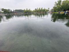 -百脉泉景区