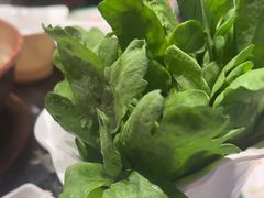 -南门四季铜锅涮肉(大屯·北苑店)