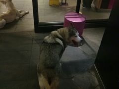 -麦当劳(南京水西门大街店)