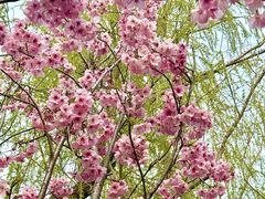 -梁鸿国家湿地公园