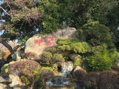 -江心屿景区