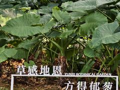 -云溪植物园