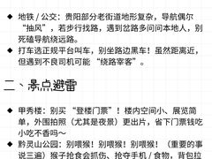 -老凯俚酸汤鱼(多彩城店)