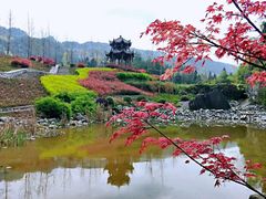 -梭布垭石林景区