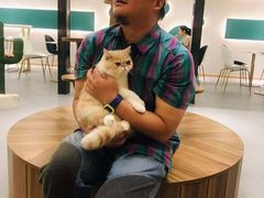 -飞行喵MR PILOT|猫舍·猫咖(静安大融城店)