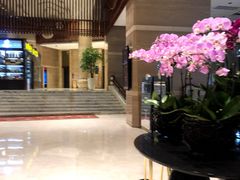 -小天鹅戴斯酒店鲸鲨百汇创作料理