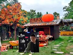 -HERRE·FARM 赫尔露营农场·团建聚会包场