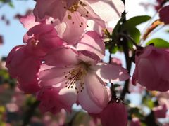 -苏州河梦清园环保主题公园