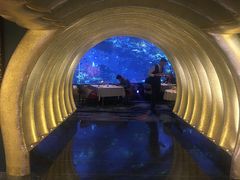 大堂-迪拜帆船酒店海底餐厅