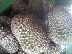 android_upload_pic-芽笼