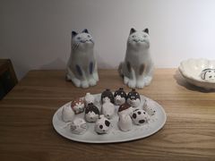 -猫里有甜
