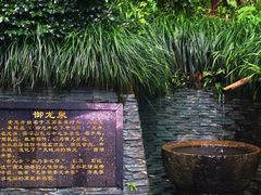 -十八棵（老龙井）御茶园(老龙井店)