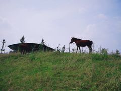 -武汉紫薇都市田园