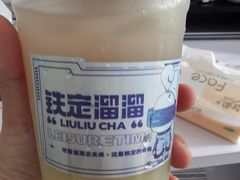 青提油柑-TD66高山铁皮石斛养生茶饮