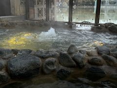 -春晖园度假酒店温泉