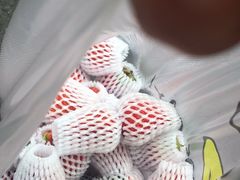 -双福水果批发市场