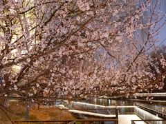 -安定门(地铁站)