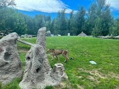 -北京野生动物园