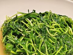 -丁老爷子苏香圆