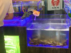 -七欣天香辣蟹火锅(常熟珠海路万达广场店)