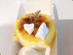 -狐狸和向日葵(北京路店)