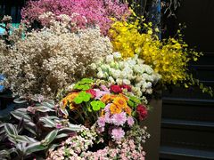 -春暖花开(西溪店)