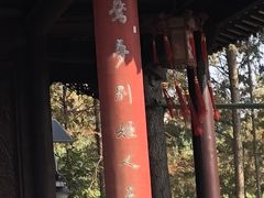-梅园