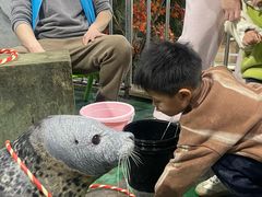 -嘉兴海底世界