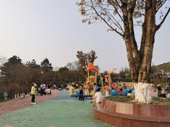 -铁山坪森林公园