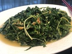 清炒麻叶-金华安大酒楼·老牌潮菜·粤式茶点(东方国际店)