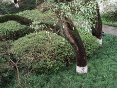-杭州花家山庄