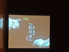 -北京大学百年讲堂