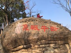 -灵岩山风景区