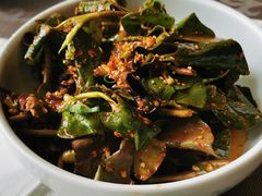 四川折耳叶-富乐山酒店(西黄城根北街店)