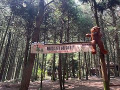 -重庆睡佛山森林公园