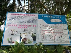 -东郊椰林