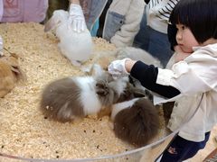 -宝龙城(杭州滨江店)