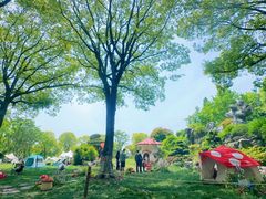 -上海鲜花港
