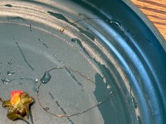 -隐食餐厅(金水湾公馆店)